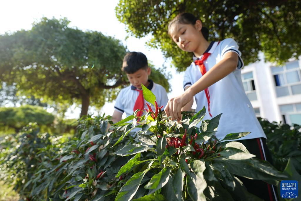 启航娱乐平台注册网址